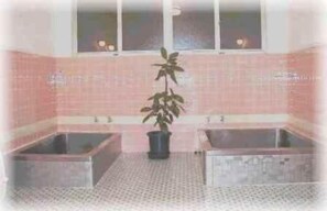 A bathroom with two sinks, a potted plant, and a tiled floor. - Resort Inn Fujihashi (Fujikawaguchiko)