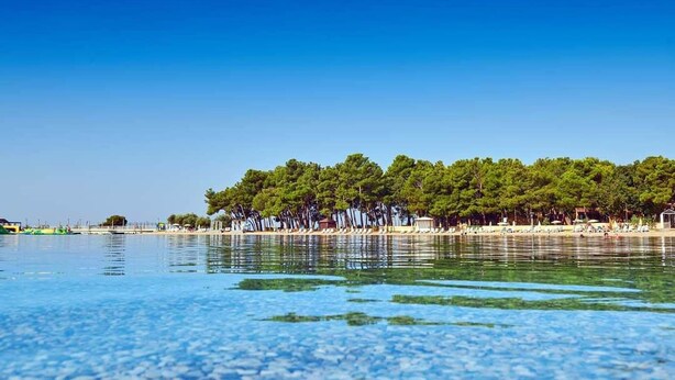 A clear view of a beach with a row of trees and a row of beach chairs and umbrellas. - Villa DANEX STANDARD **** (Umag)