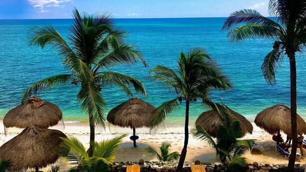 A beach with thatched umbrellas, palm trees, and a clear view of the ocean.