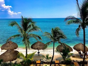 A beach with thatched umbrellas, palm trees, and a clear view of the ocean.