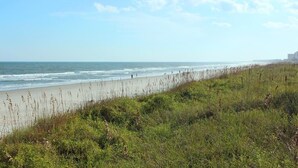 A coastal beach with a grassy foreground and a clear sky. - Cordy Beach House - 2nd Row Ocean View, Gated with Pool! (Pawleys Island)