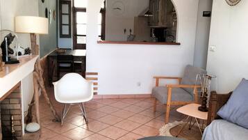 TV, fireplace, books