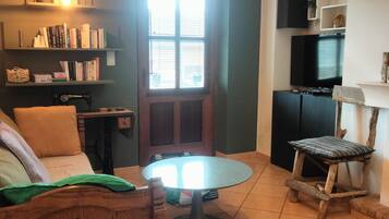 TV, fireplace, books