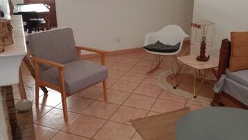 TV, fireplace, books