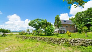A house with a stone wall in the foreground, surrounded by lush greenery and trees.