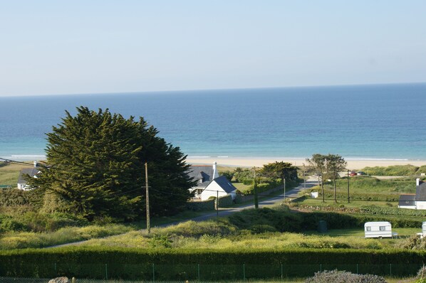 ビーチ / オーシャン ビュー