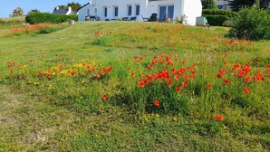 Une maison blanche avec un toit en pente, entourée d’un champ verdoyant parsemé de coquelicots rouges.