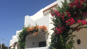 A row of white buildings with terracotta roofs and colorful flowering plants.