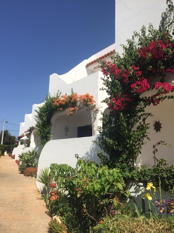 A row of white buildings with terracotta roofs and colorful flowering plants.