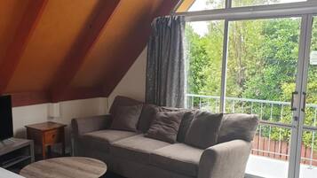 42-inch LED TV with satellite channels, TV