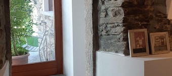 Camellia, forslag mellom innsjø og fjell