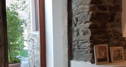 Camellia, suggestions between Lake and mountains