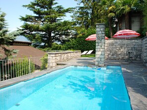 Pool - Lovely apartment in villa with WIFI, private pool, TV, terrace, pets allowed and panoramic view (Lugano)