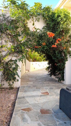 Overnattingsstedets uteområder