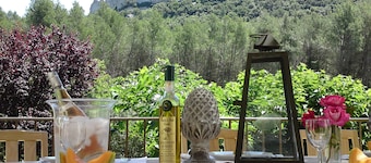 Magnificent Bastide in the heart of alpilles, quiet absolute, exceptional position, private Tennis, Swimming pool warmed 7 rooms 4 bathrooms