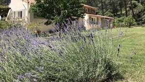 A house with a tiled roof, surrounded by a garden with lavender plants. - Magnificent Bastide in the heart of alpilles, quiet absolute, exceptional position, private Tennis, Swimming pool warmed 7 rooms 4 bathrooms (Fontvieille)