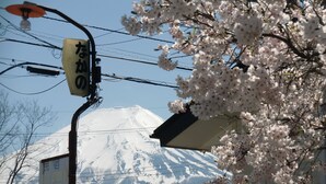 A street view with a sign, a cherry blossom tree, and a snow-capped mountain in the background. - Nakano (Fujiyoshida)