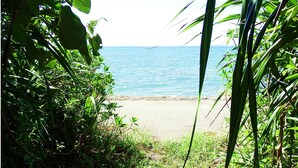 A beach view with dense foliage in the foreground and a clear view of the sea. - Sea Side Yaka (Kin)