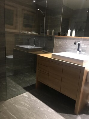 Hair dryer, towels, soap, toilet paper