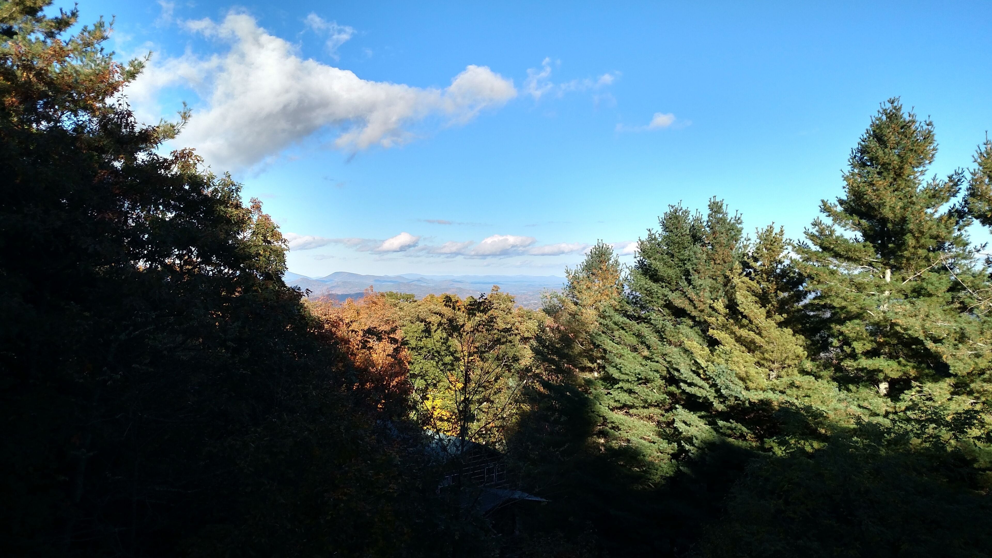 PRIVATE CABIN IN A GATED COMMUNITY, Downtown Boone 5 Minutes