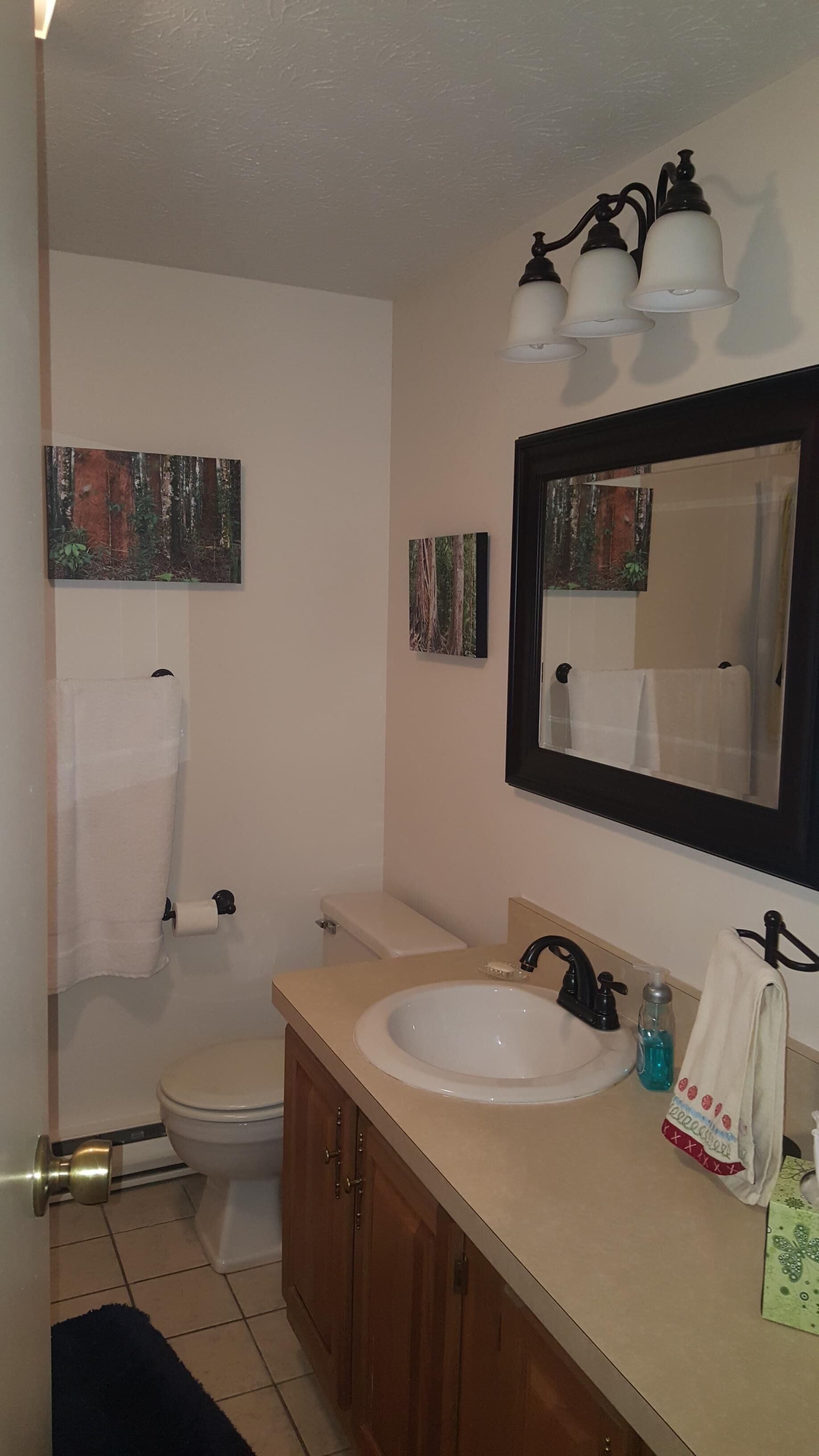 Une salle de bain équipée de toilettes, d’un lavabo et de deux luminaires fixés au mur.