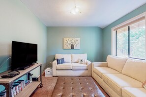 TV, fireplace, video library