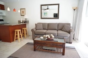 TV, DVD player, books, video library