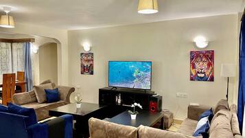 TV connectée, cheminée, lecteur de DVD, livres