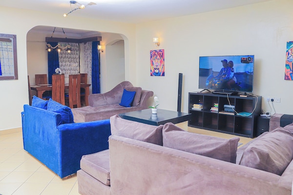 Smart TV, lareira, DVD player, livros