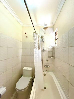 Combined shower/bathtub, hair dryer, towels, soap