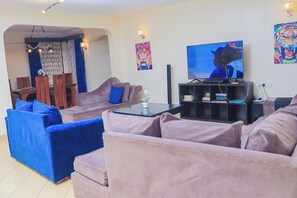 Una Smart TV, una chimenea, un reproductor de DVD, libros