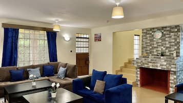 Smart TV, fireplace, DVD player, books