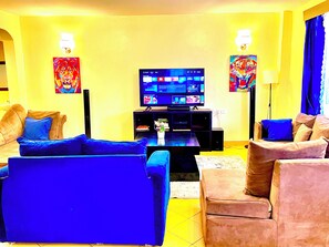 Una Smart TV, una chimenea, un reproductor de DVD, libros