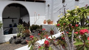 Un edificio blanco con un gran arco de entrada, plantas en macetas y un jardín de cactus.