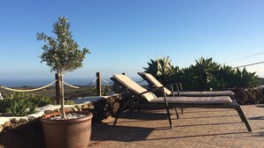 Una terraza con dos sillones, una planta en maceta y vista al océano.