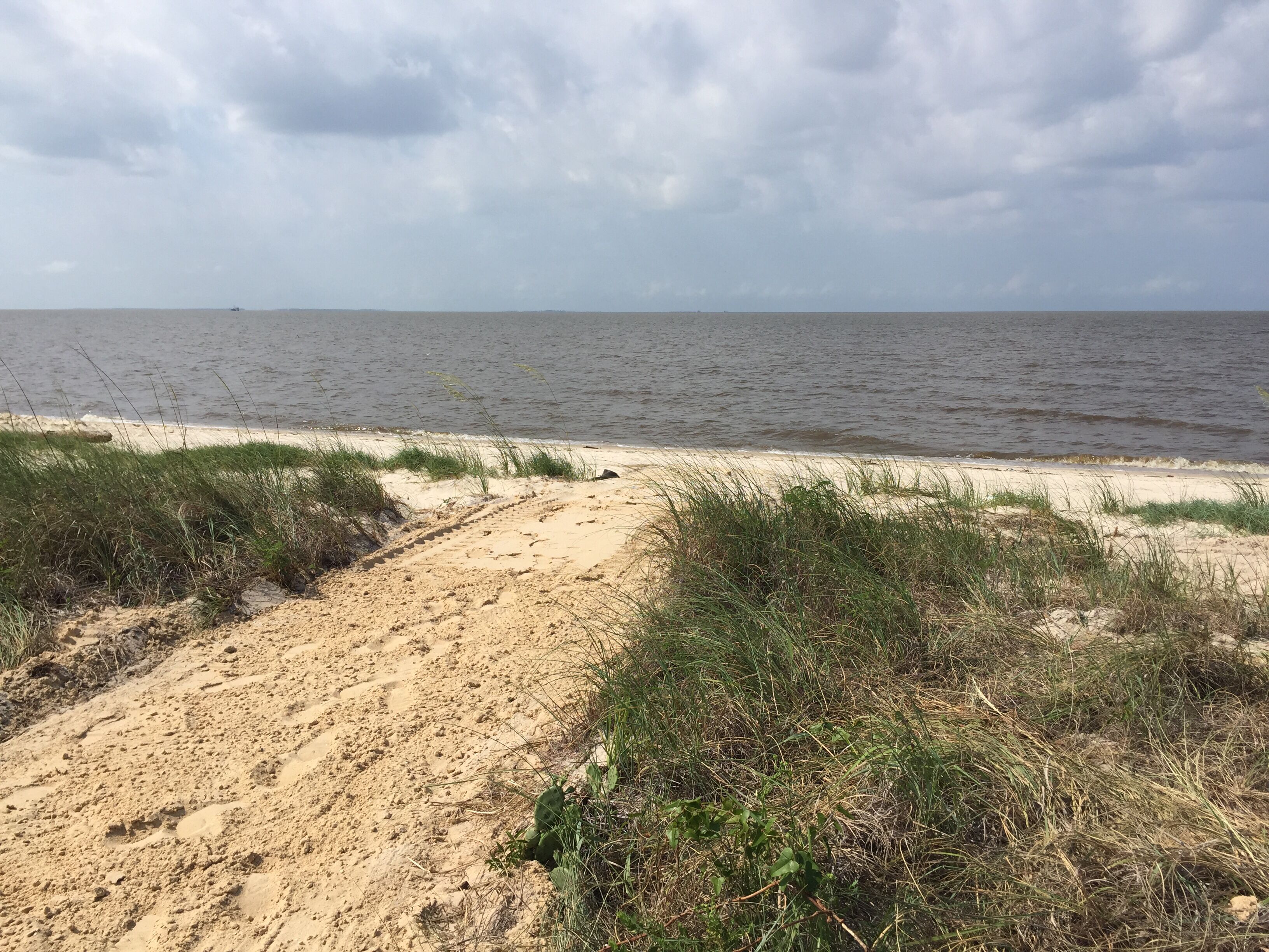A sandy beach path leading to the sea with sparse vegetation.