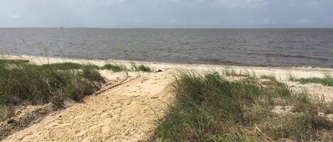 A sandy beach path leading to the sea with sparse vegetation.