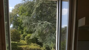 Ein Zimmer mit Blick auf einen Swimmingpool, eine Holzterrasse und einen großen Baum.