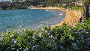 Une plage avec une eau d’un bleu limpide, un rivage sablonneux et, en arrière-plan, des palmiers et des bâtiments.