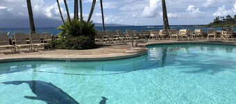 Your Maui Retreat Awaits at Our Beautiful Napili Studio - Steps to Napili Beach