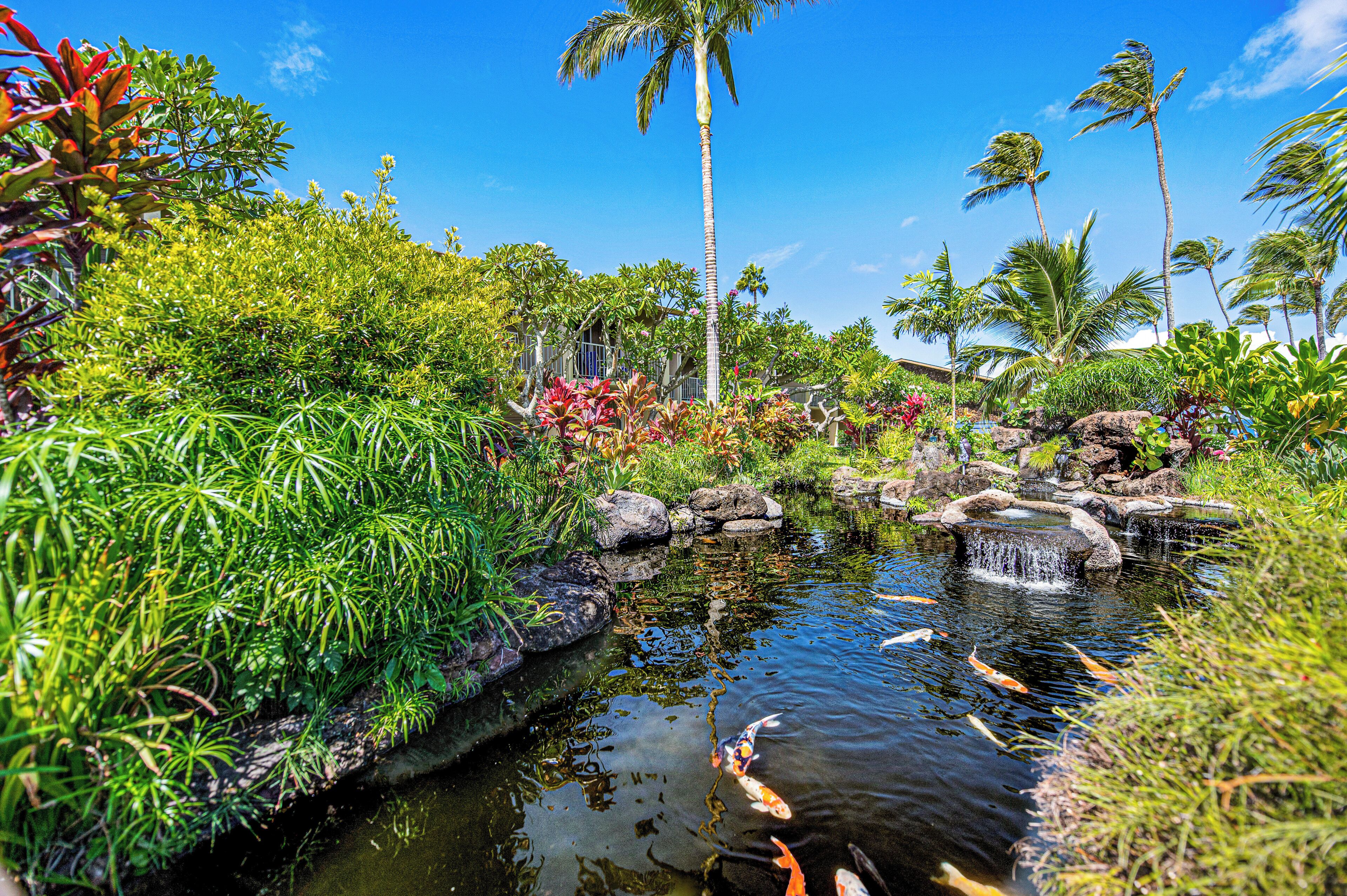 Un jardin tropical avec un bassin, des palmiers et des carpes koï.