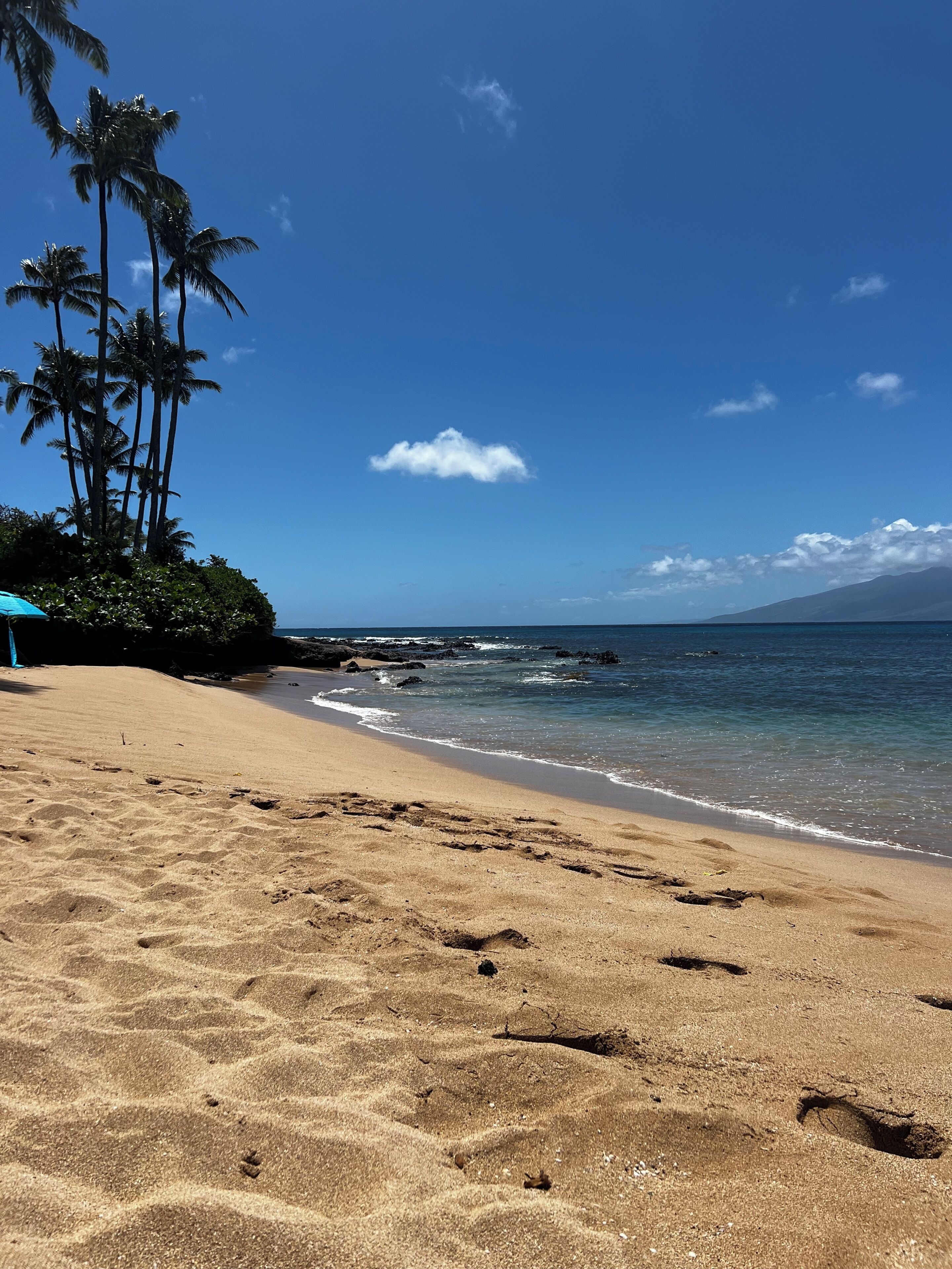 A beach with clear skies, palm trees, and a calm sea.