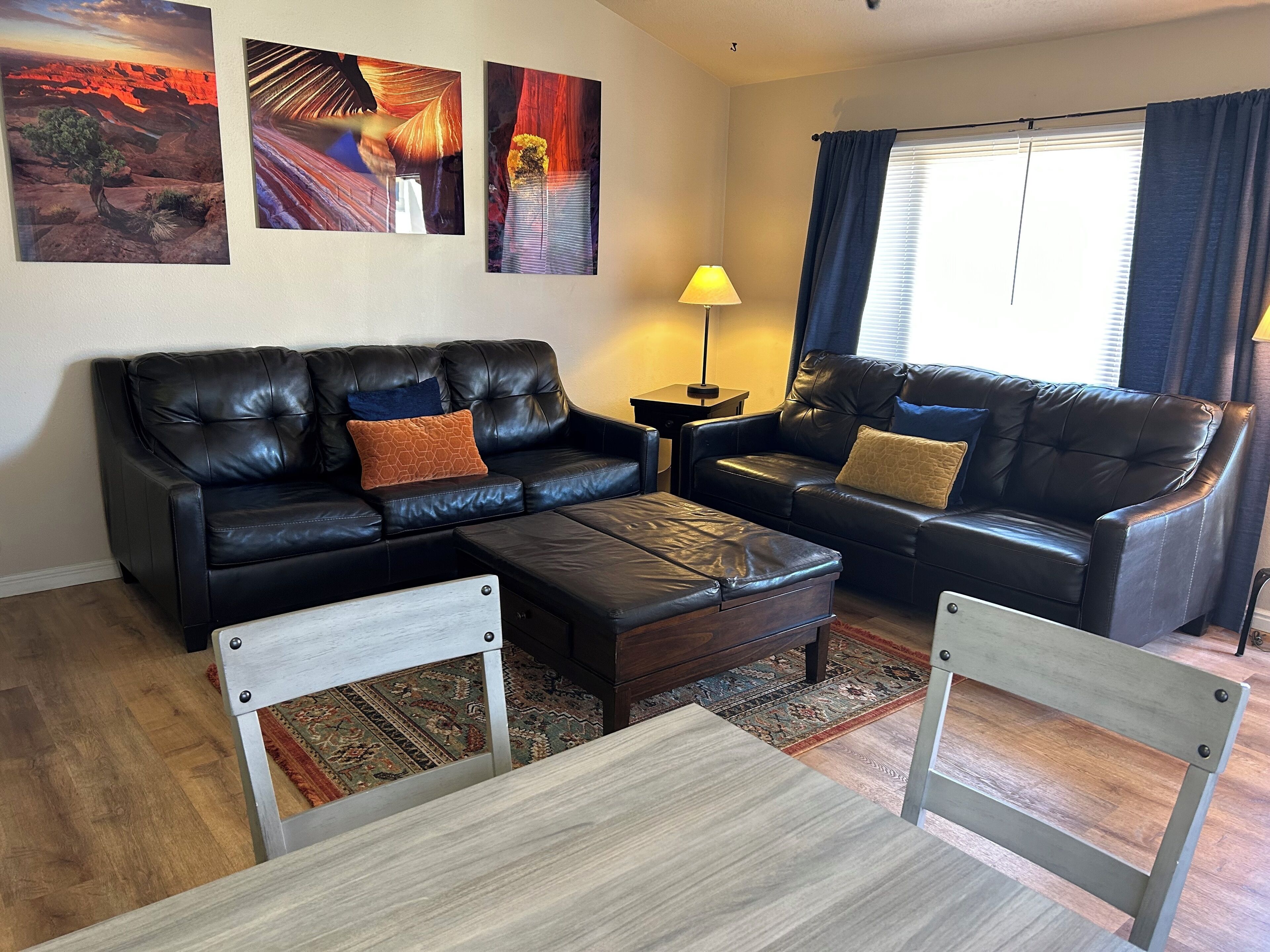 Living room with queen sofa bed and extra space on second couch.