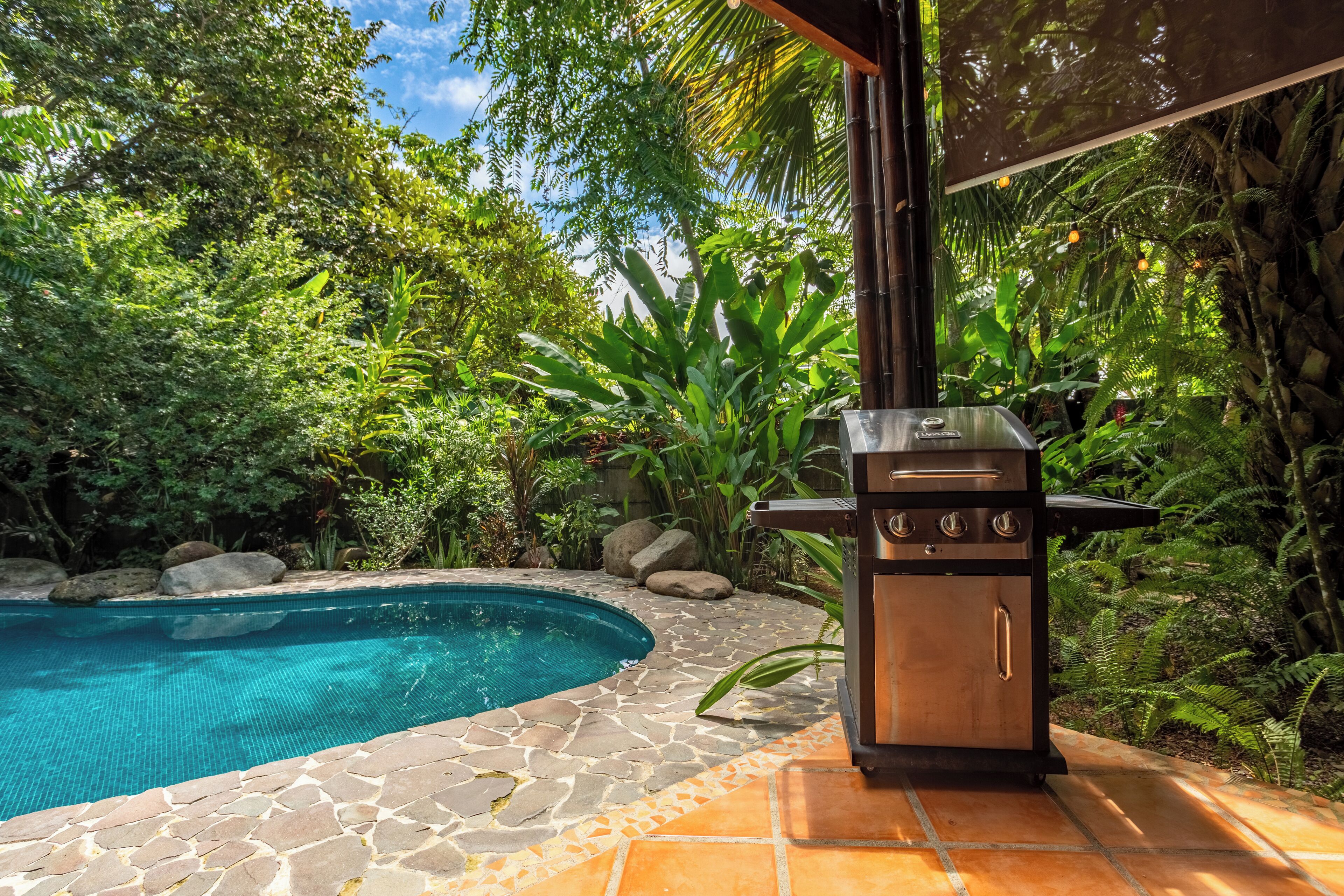 Un patio trasero con piscina, parrilla y abundante vegetación.