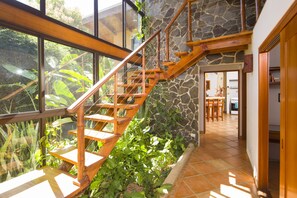 Stairs lead to a view of lush greenery from large windows.