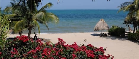 På stranden, solstolar och strandhanddukar