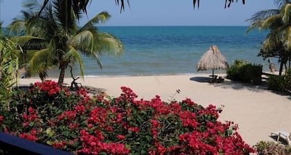 Oceanfront in Maya Beach: w / Dock, WLAN, 4-6 SUPs, Kajaks, 4 Fahrräder - ON THE SAND!