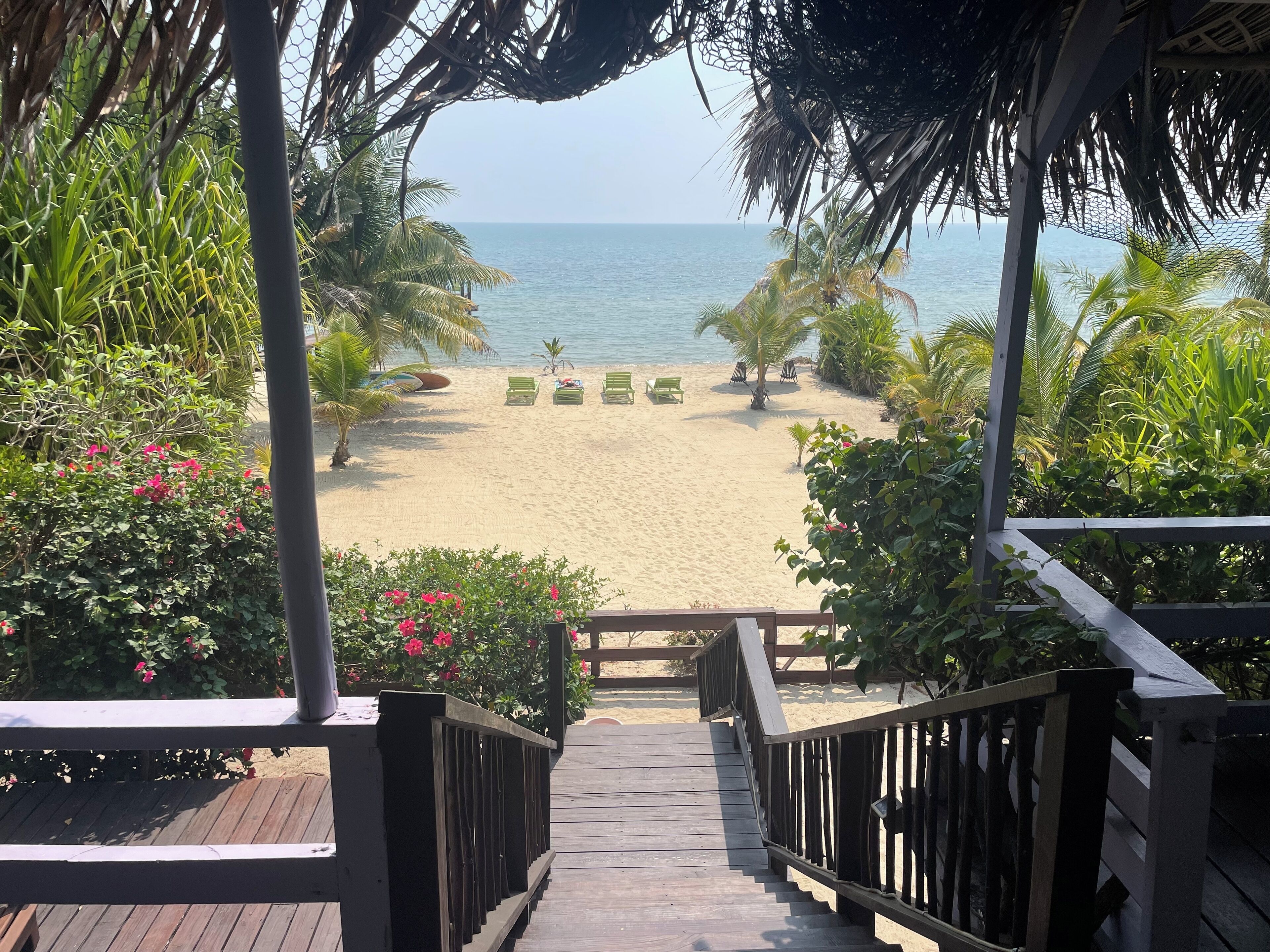 Plage, chaises longues, serviettes de plage