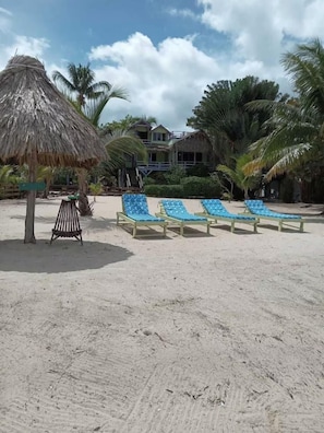 Une plage avec des parasols en chaume, des chaises longues et des palmiers.