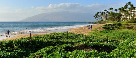 بالقرب من الشاطئ، كراسي للتشمس، مناشف للشاطئ